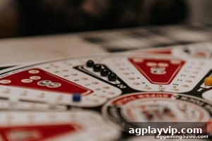 AG真人 agplayvip