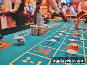 AG真人 agplayvip