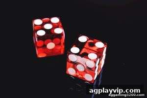 AG真人 agplayvip